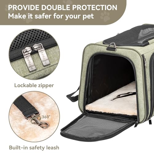 Medium Double Expandable Cat Carrier for Cats and Small Dogs (17.0"L x 11.0"W x 11.0"H / Green)