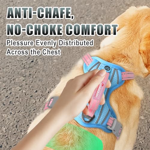 Dog Harness for Large Dogs No Pull Dog Vest ID Tag Pocket (Baby Blue & Baby Pink / X-Large)