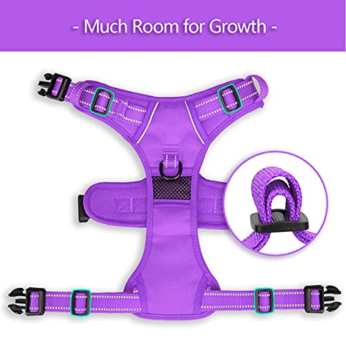 No Pull Dog Harness (S / Purple(Matching Trim))
