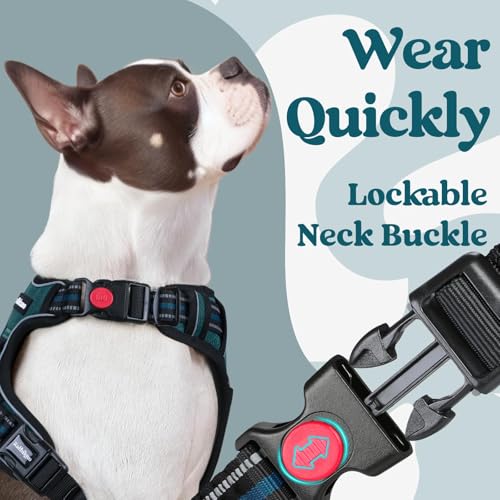 Dog Harness for Large (X-large / Blue Coral)