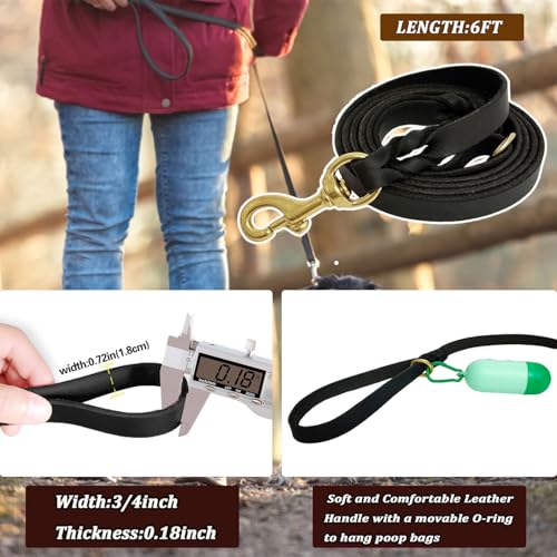 Leather Dog Leash (6 ft x 3/4 inch / Black)