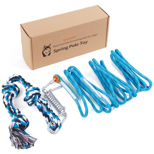 Spring Pole Toy for Pitbull (Blue+White)