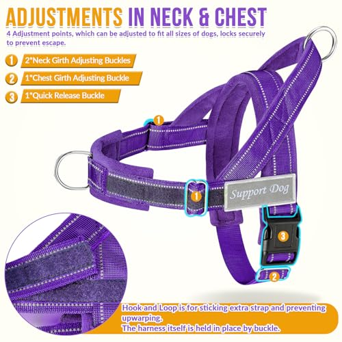 No Pull Dog Harness and Leash Set (Purple / Medium)