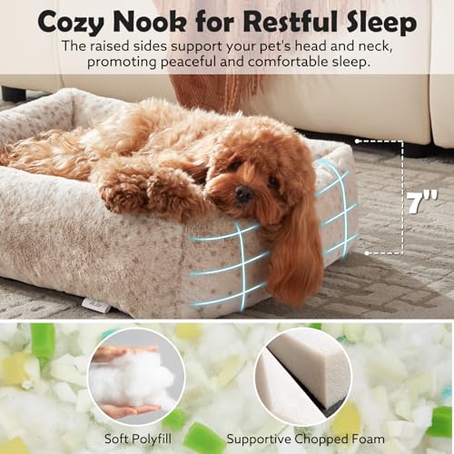 Dog Bed for Small Medium Dogs (Beige / S PLUS (25"x21"x7"))