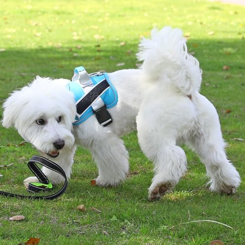 Dog Harness No (Medium (Pack of 1) / OceanicBlue)
