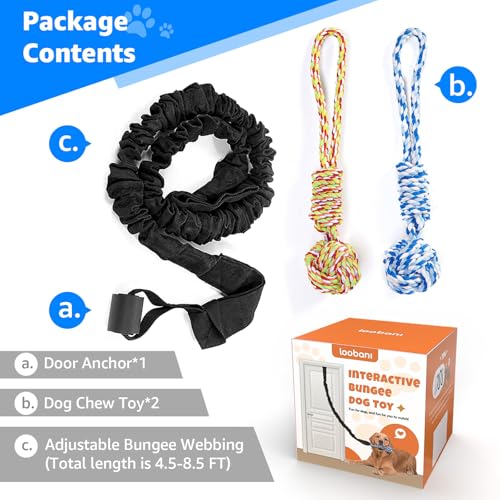 Outdoor Bungee Tug Toy (Blue+Orange)