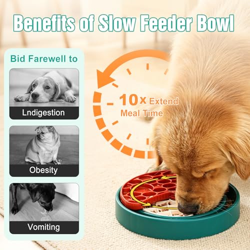 3 Level Slow Feeder Dog Bowl