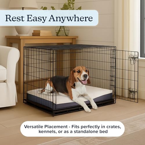 Orthopedic Pet Bed (Gray / Medium)