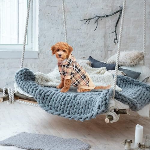 Plaid Dog Hoodie (Medium / Beige)