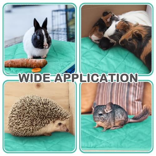 4 Pack Self Heating Cat Pad Self Warming Dog Mat Reflects Body Heat Extra Warm Thermal Pet Pad Washable Dog Cat Bed Crate Bed Mat Blanket (16 x 20 Inch / Mint Blue)