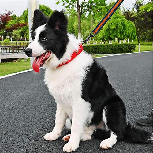 Short Dog Leash (Wide-Orange)