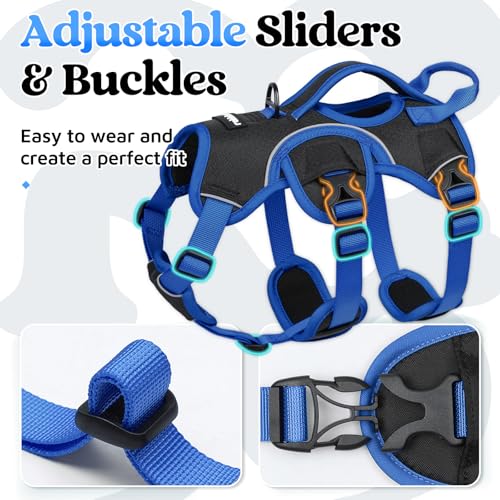 Escape Proof Dog Harness for Small (Blue & Black / Small)