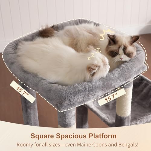 Heavy Duty Cat Tree with Large Base for Large Indoor Cats HCT026W (Light Gray / L)