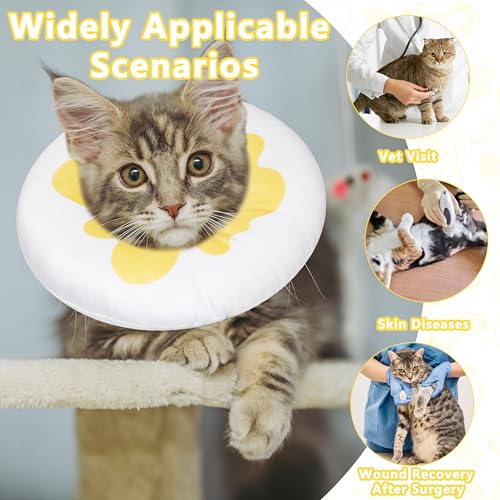 Cat Cone Collar Soft (Egg / Small)