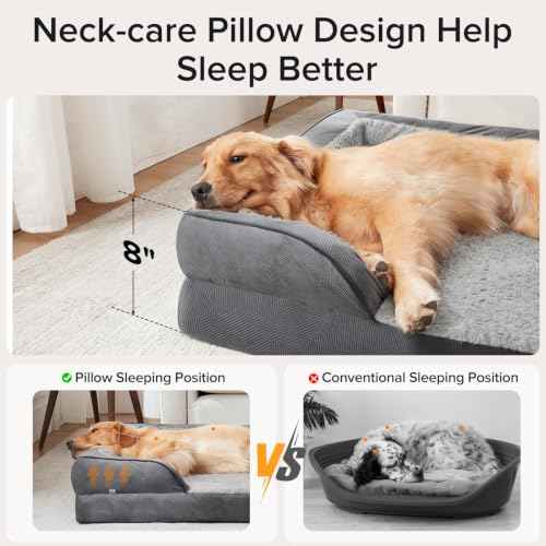 XXL Plus Orthopedic Dog Beds Large Sized (XXL- PLUS (53"x 42"x 8") / Grey)
