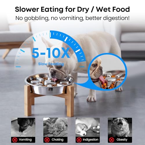 Elevated Slow Feeder Dog Bowls 2 Cups for 15