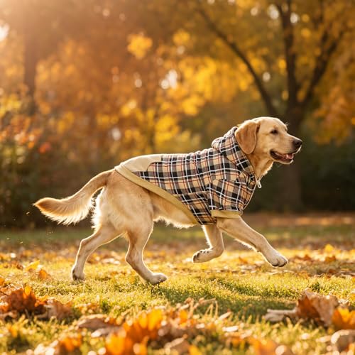 Plaid Dog Hoodie (Large / Beige)