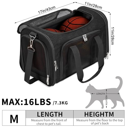 Soft Sided Cat (BLACK / 17"L x 11"W x 11"H)