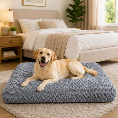 Extra Large Dog Bed (Dark Grey / 47"L x 31"W x 4"Th)