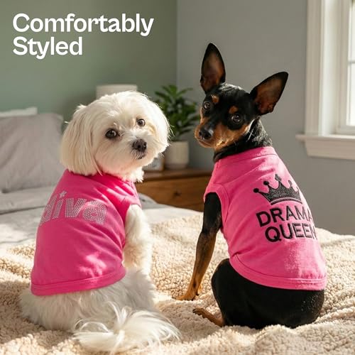 2 Pack Dog Shirts (Large / Diva + Drama Queen)