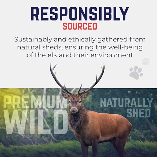 Whole Elk Antlers for Dogs (WHOLE - Large - 1 Pack)