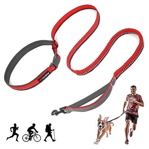 Hands Free Bungee Dog Leash (Fiery Red)