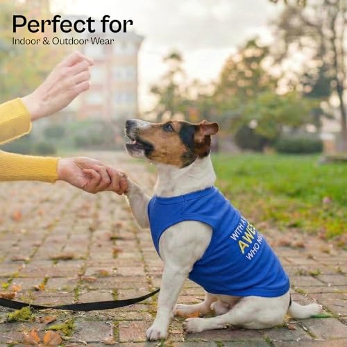 Dog T-Shirt - Embroidered “ Awesome “ Dog Shirt - Pure Cotton and Lightweight Pet Clothes - Blue Sleeveless Pet Tee Shirts - Cute Puppy Clothes - Shirts for Small Dogs Boy - XS (XS)