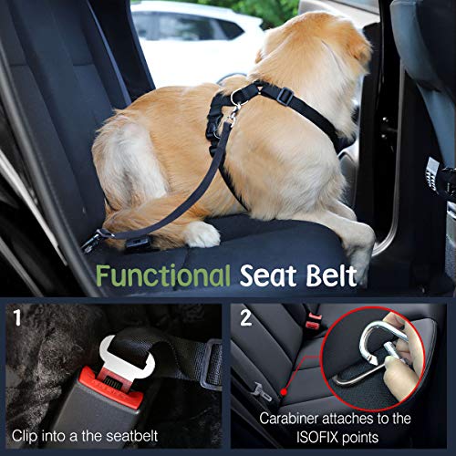 Dog Seat Belt Vest Harness for Car (Magenta / M (Chest: 19.7-26.4", Neck: 12.6-20.5"))