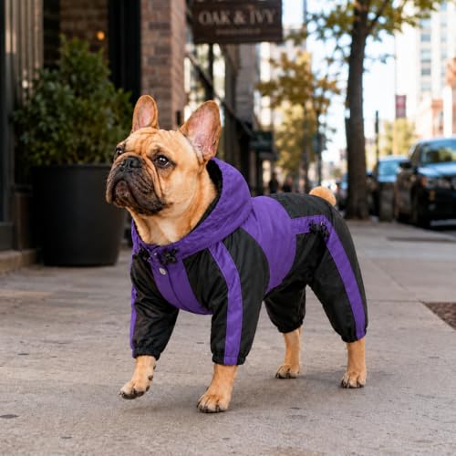 Welsh Corgi Dog Hooded Raincoat (D-L (for Corgi) / Purple)