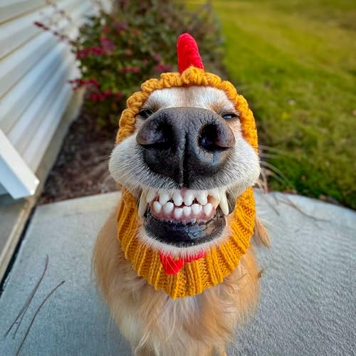 Rooster Costume (Yellow / Large)