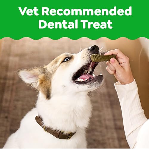 Regular Dental Dog Treats (72 Count (Pack of 1))