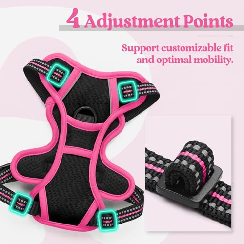 Dog Harness No Pull for Small Dogs with 2 Leash Clips (X-Small / Black & Hot Pink)