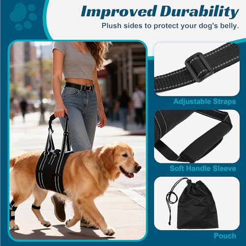 Dog Sling Adjustable Dog Lift Harness for Rear Legs (Large)