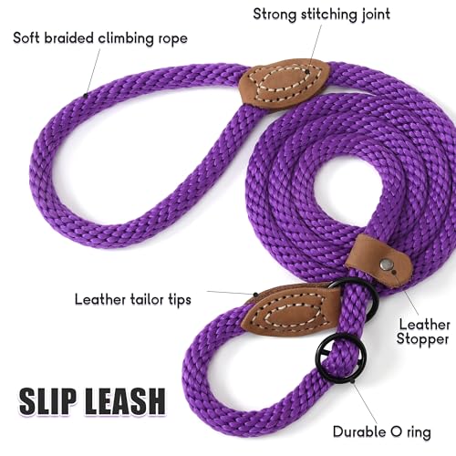 Heavy Duty Slip Lead No Pull Leash w Leather (Purple / 6 Feet)