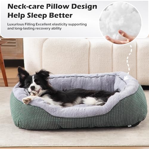 Large Dog Beds Large Sized Dog (L PLUS (38"x28"x8") / Green)