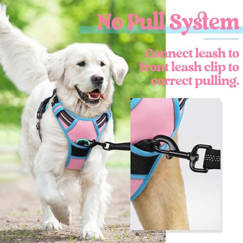 Dog Harness No Pull for Large Dogs with 2 Leash Clips (X-Large / Pink & Blue)