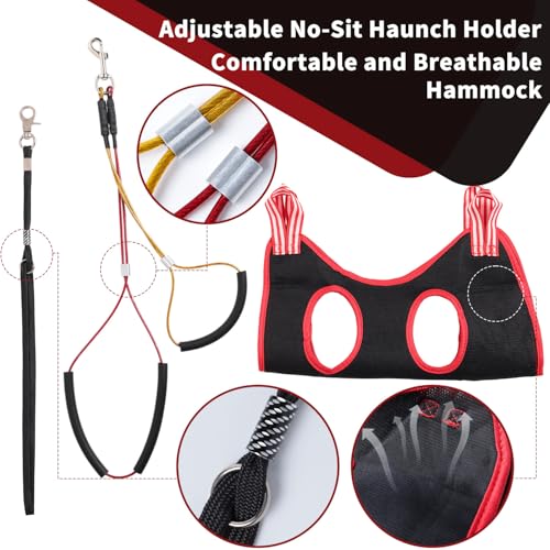 Dog Grooming Table Arm with Hammock (Stainless Steel)