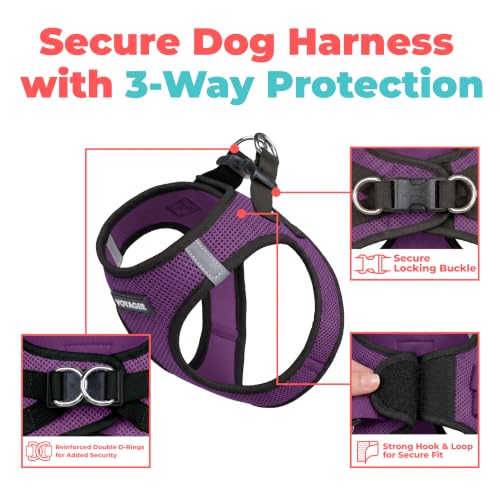 Voyager Step in Air Dog Vest Harness (Purple/Black Trim / XS (Chest: 13 - 14.5"))