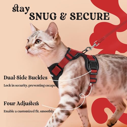Cat Harness and Leash Set (M / Black & Red)