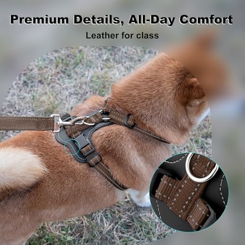 No Pull Dog Harness with Leather Accents (S / Chocolate)