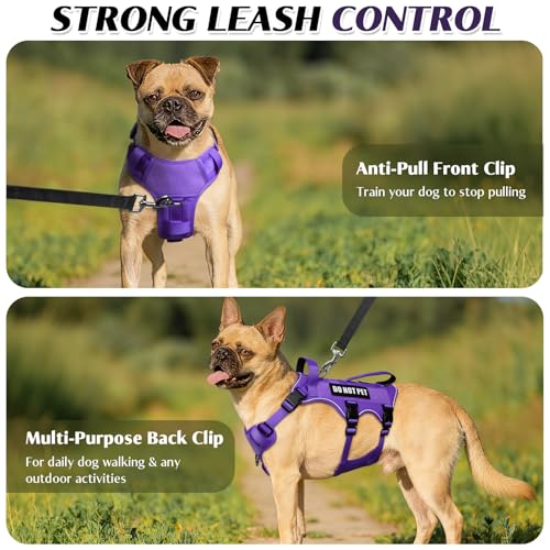 Escape Proof Dog Harness with Double Handle+4 Removable Patches (X-Large / Purple)