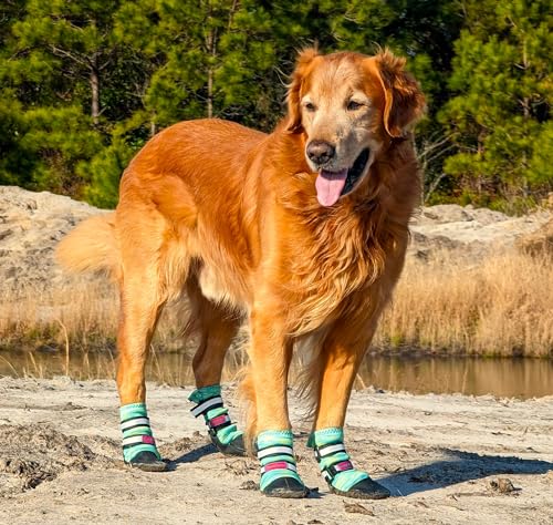 All Weather Neoprene Paw Protector Dog Boots with Reflective Straps in 5 Sizes! (Large)