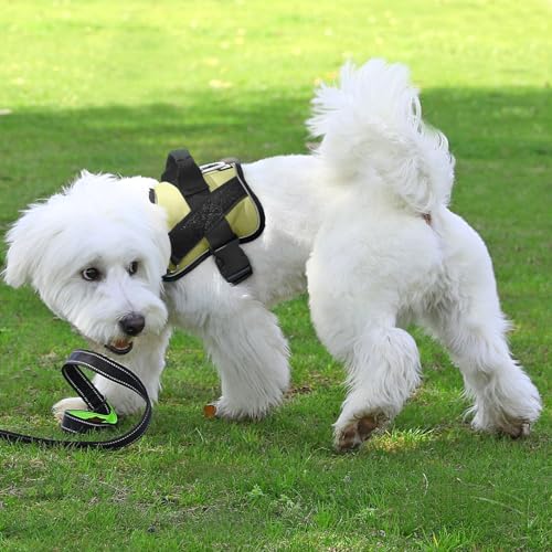 Dog Harness No (XX-Large (Pack of 1) / Matcha)