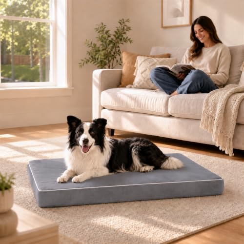 Orthopedic Dog Mat (Grey / L (36*27*3))