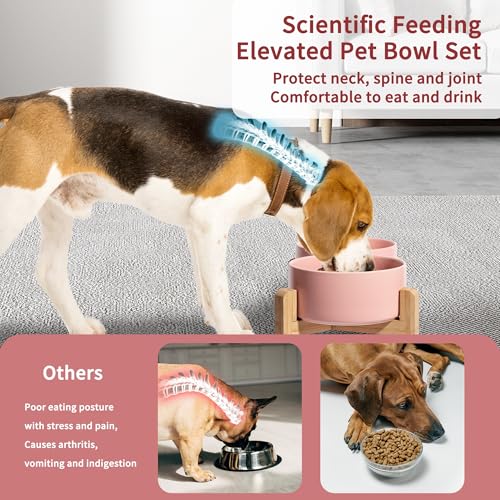 Elevated Ceramic Dog Bowl (Pink / Medium)