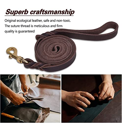 Leather Dog Leash 6 ft x 1 (6 ft x 1/2 inch / Brown)