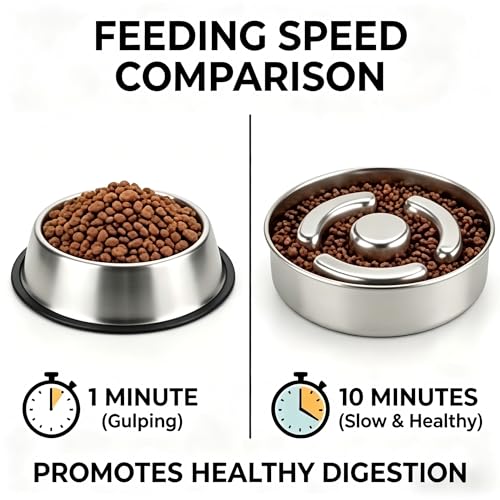 Slow Feeder Dog Bowl Stainless Steel (2 Cups/ 1.6" Deep (Max 4Cups))