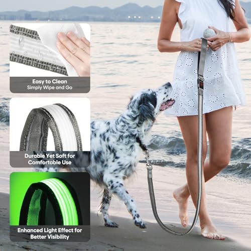 4 Ft Multi Color Light up Dog Leash (4 FT (Gray))