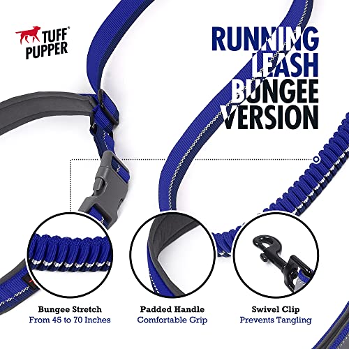 Hands Free Bungee Dog Leash (Blazing Blue)