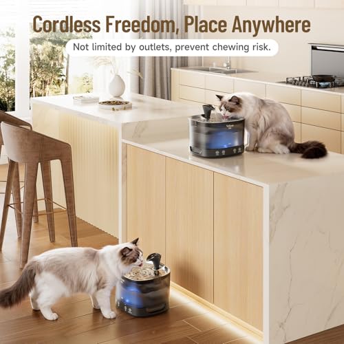 85oz 2.5L Cordless Cat Water Fountain for Cats (Black Silver)